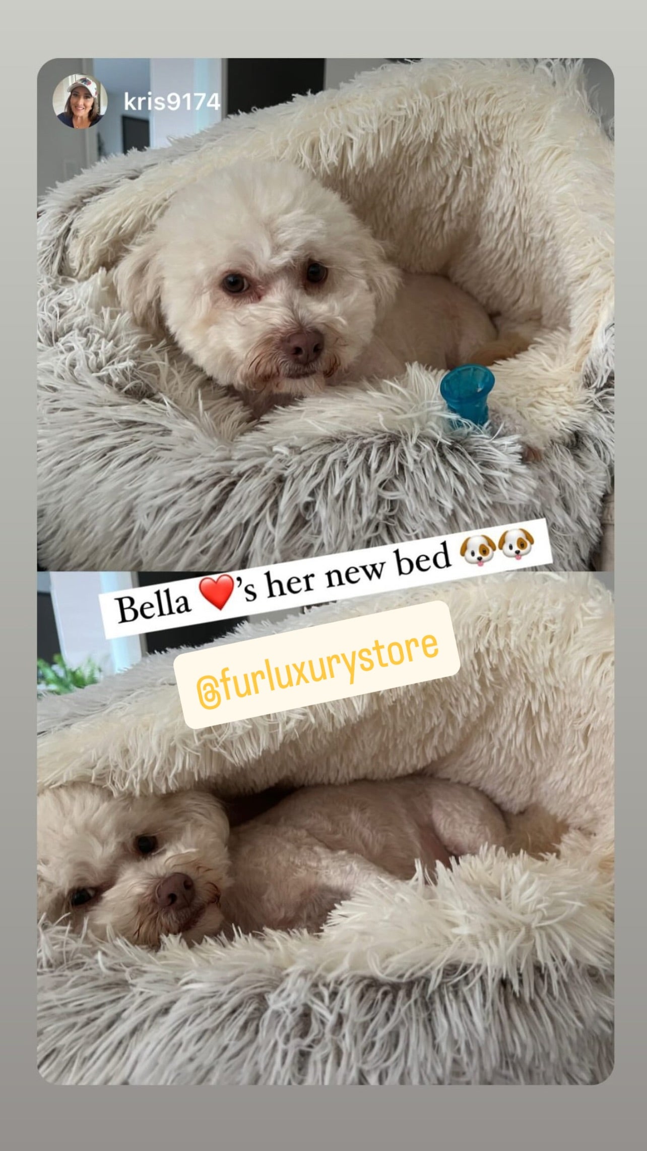 Cozy cocoon-style dog bed®