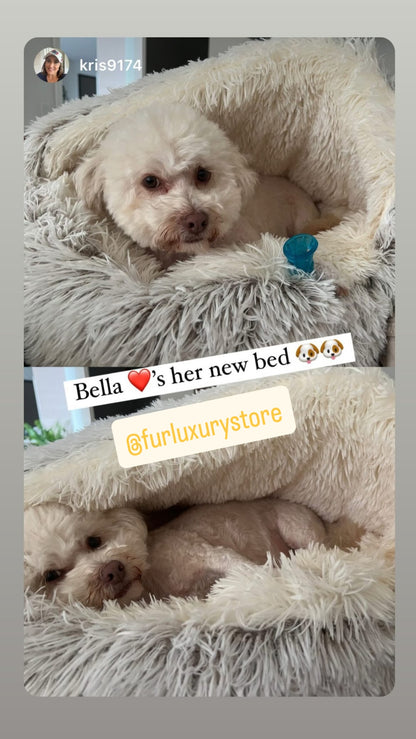 Cozy cocoon-style dog bed®