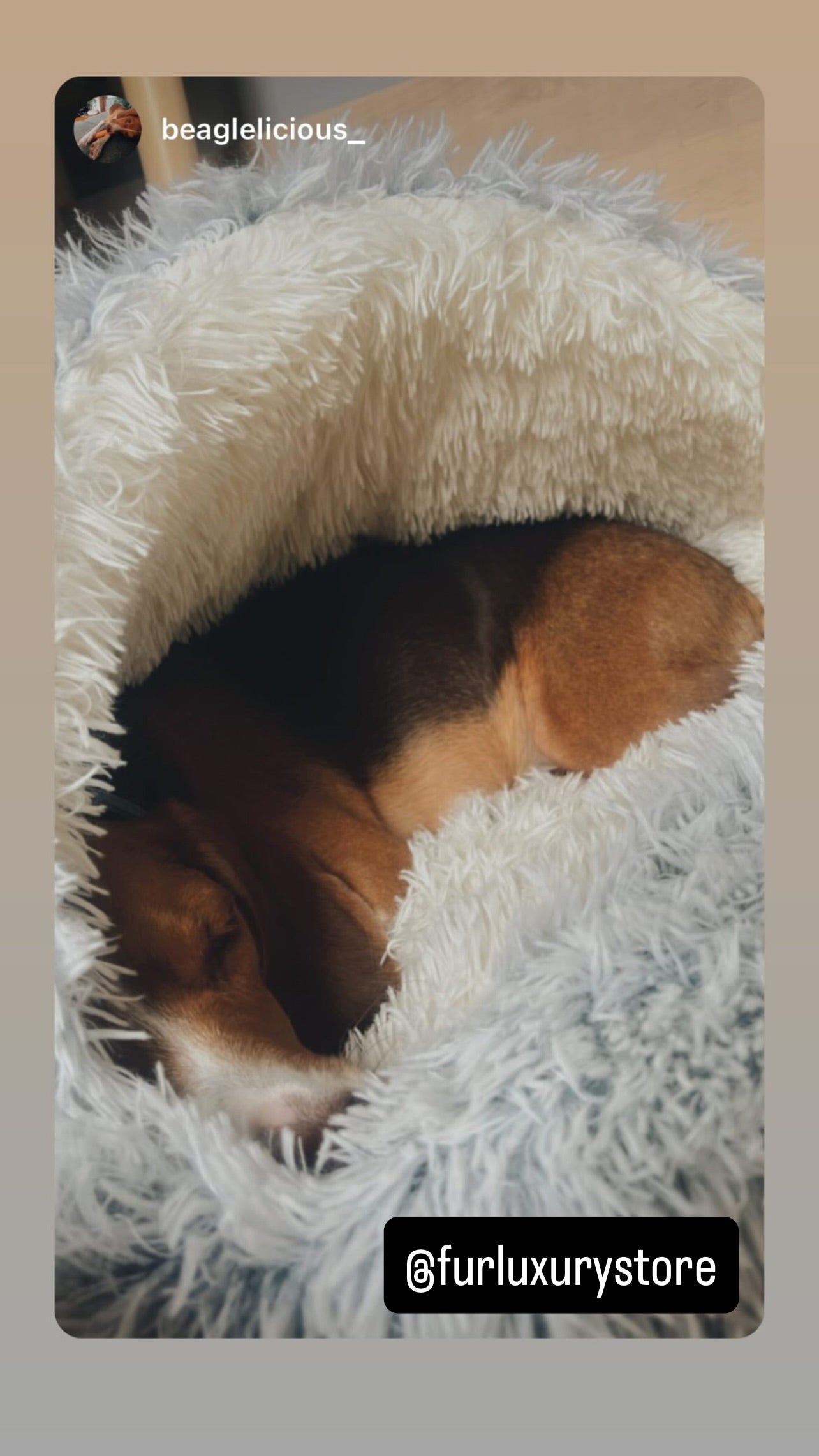 Cozy cocoon-style dog bed®