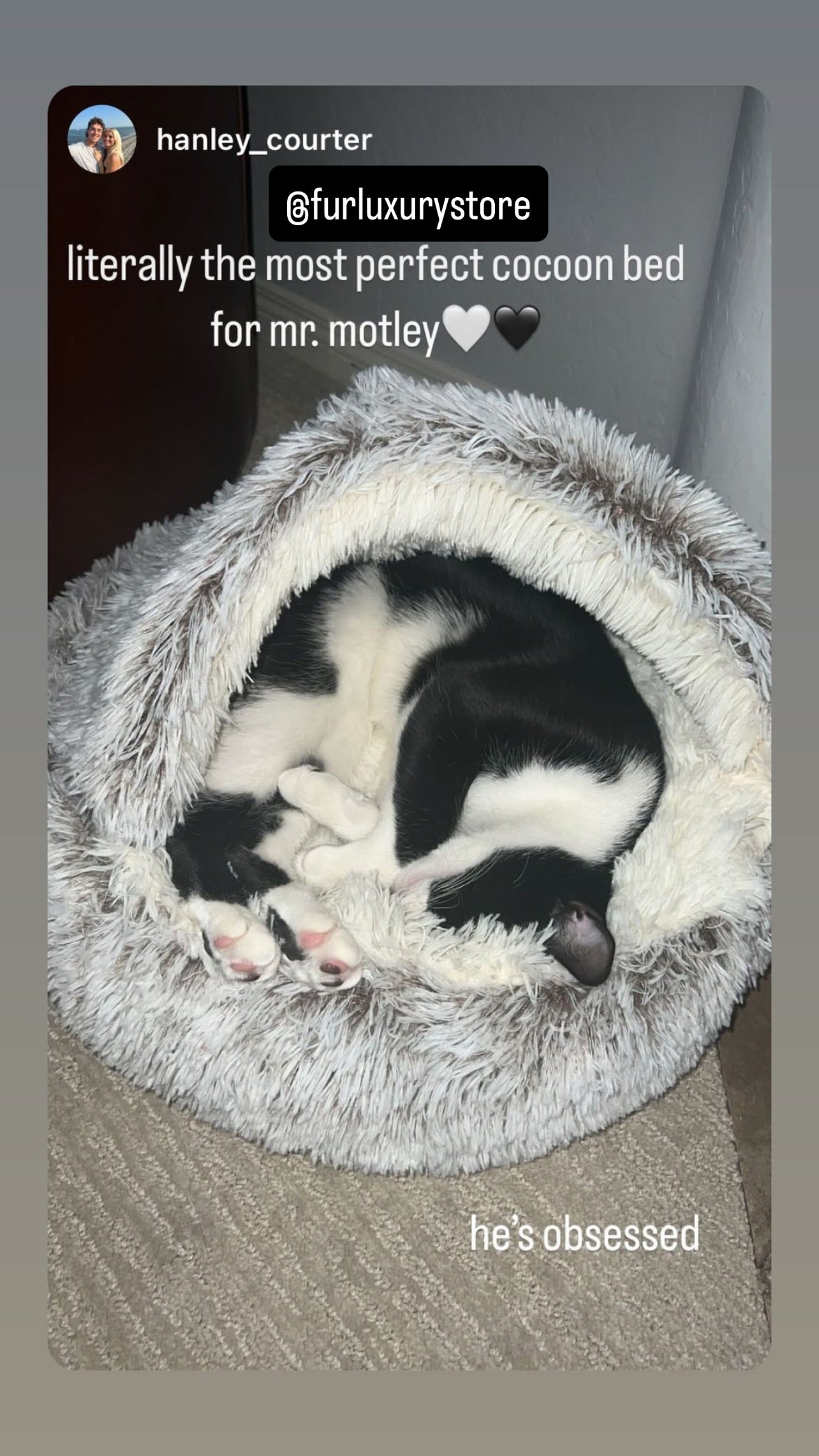 Cozy cocoon-style dog bed®