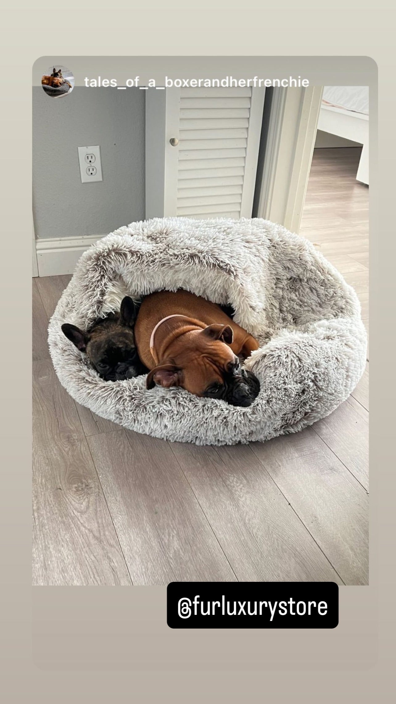 Cozy cocoon-style dog bed®