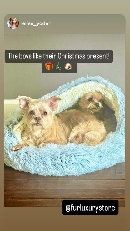 Cozy cocoon-style dog bed®