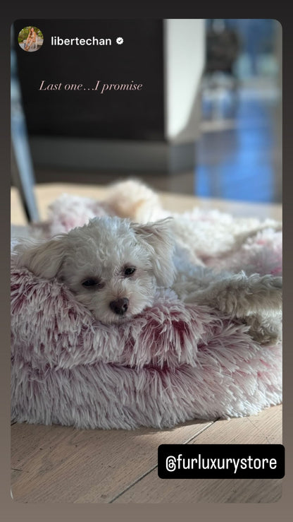 Cozy cocoon-style dog bed®