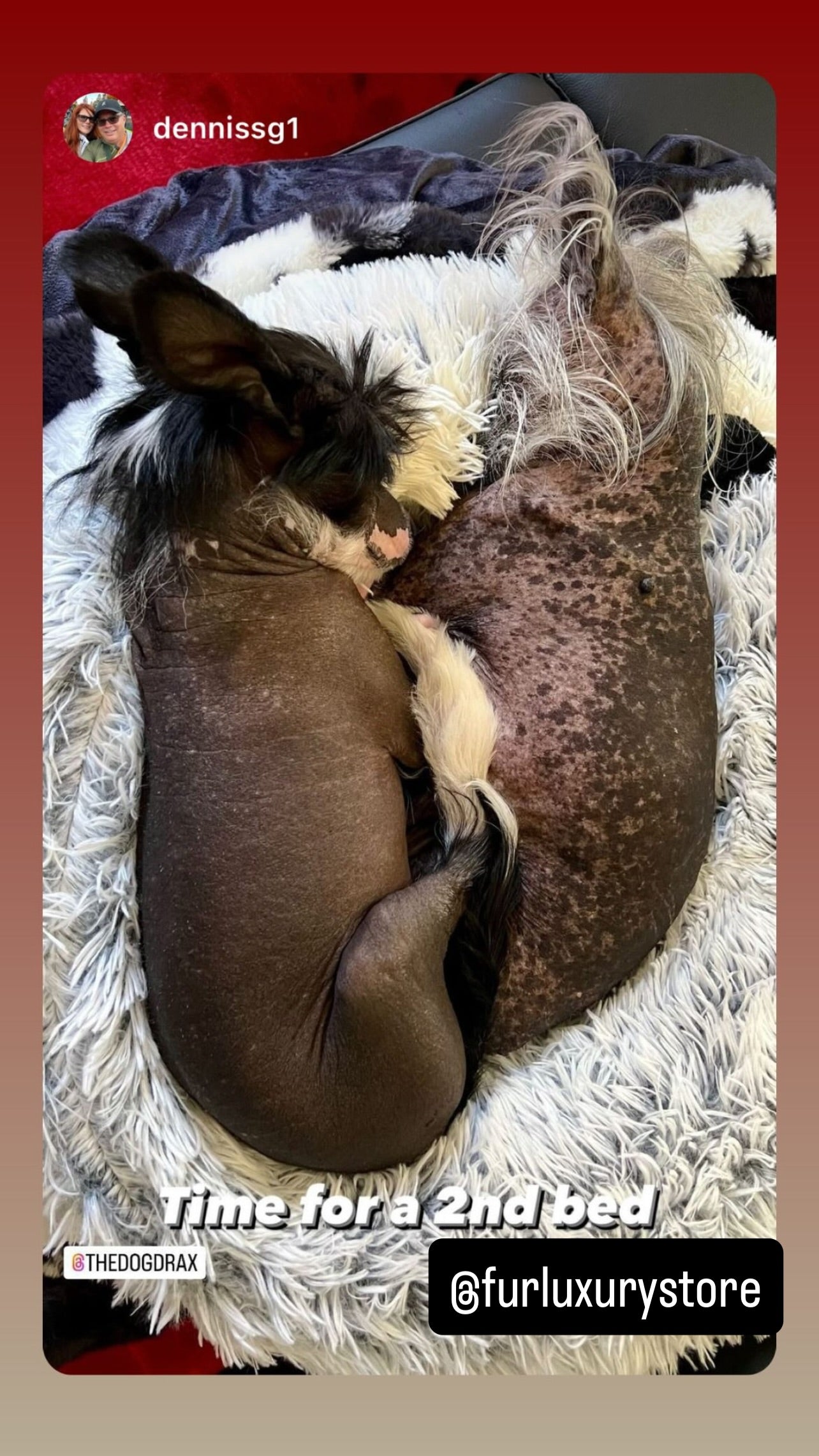 Cozy cocoon-style dog bed®